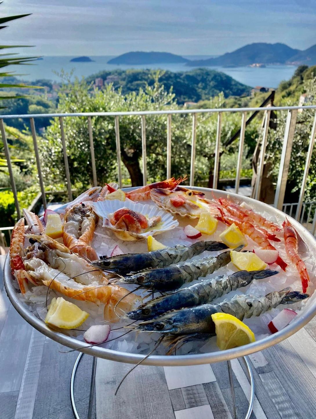 fresh fish with panorama in the background