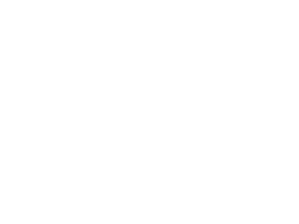 The Spine & Brain Institute logo