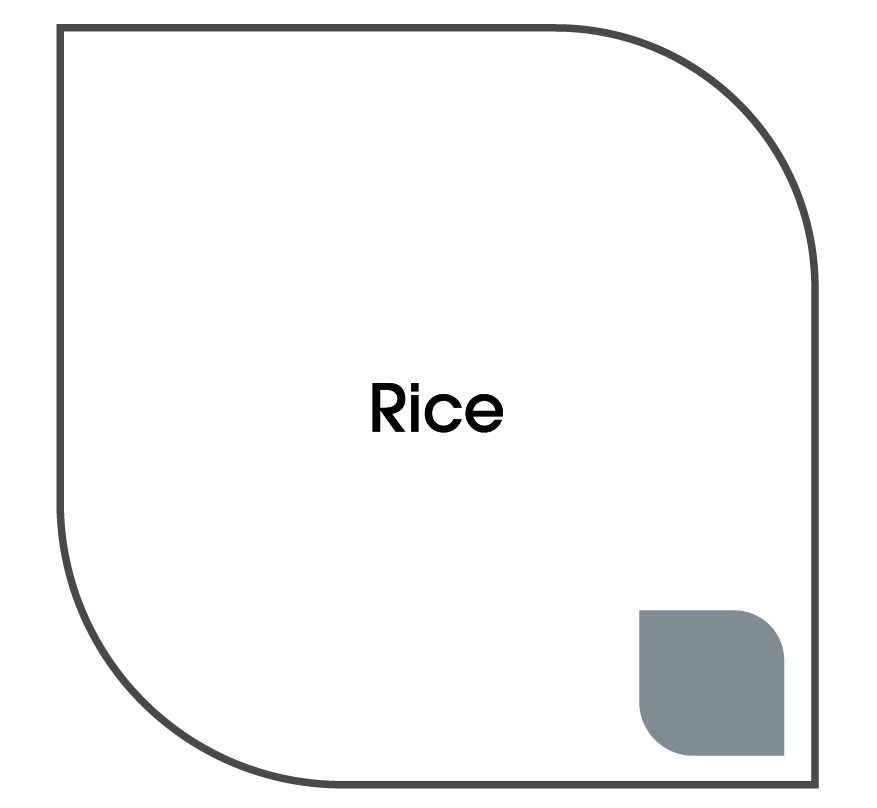 Un carré blanc avec le mot riz dessus.