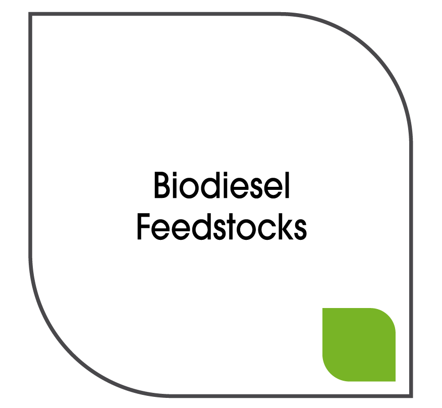 Un logo pour les matières premières de biodiesel avec une feuille verte sur fond blanc.