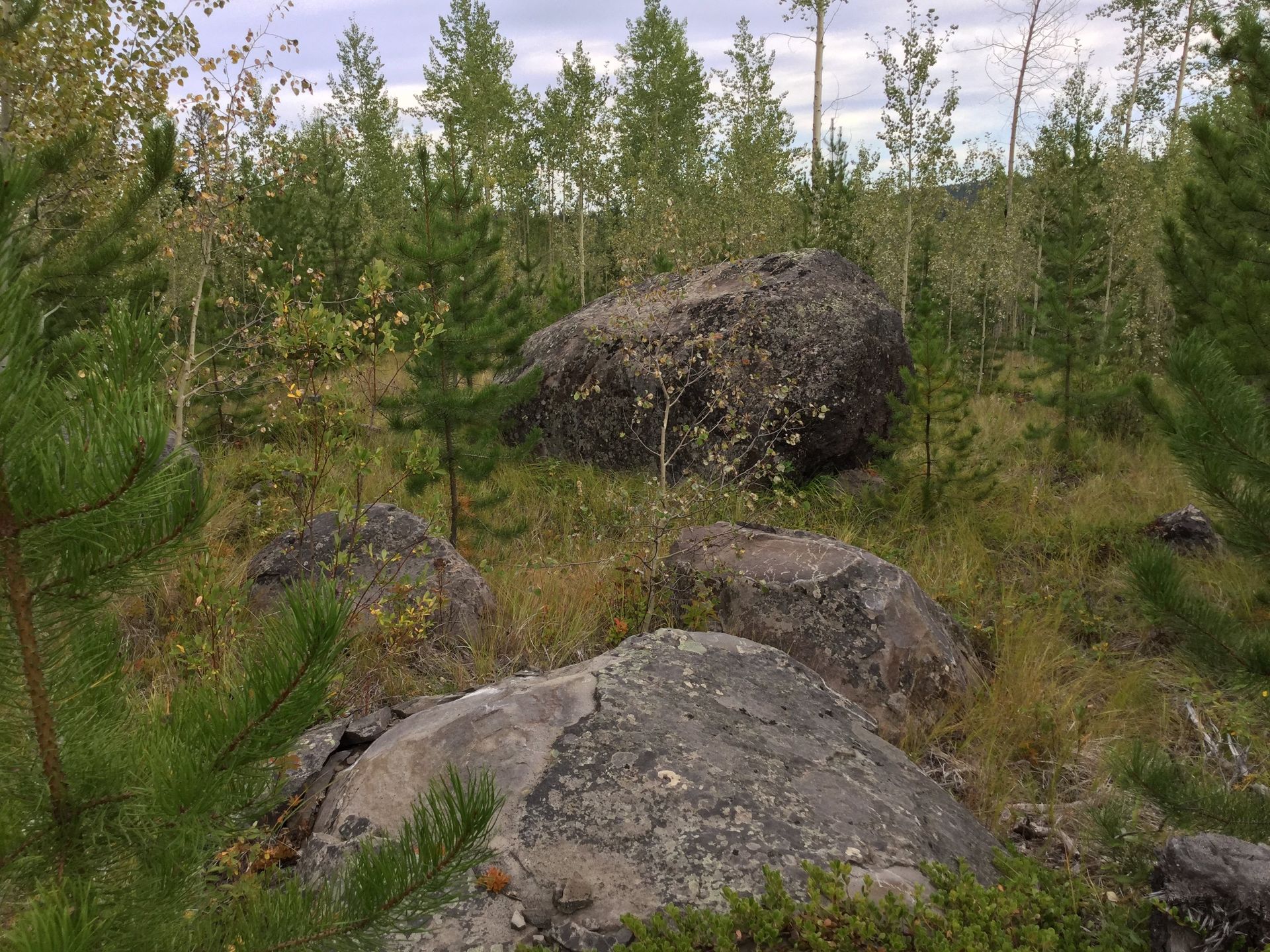 Boulders on property in the Cariboo