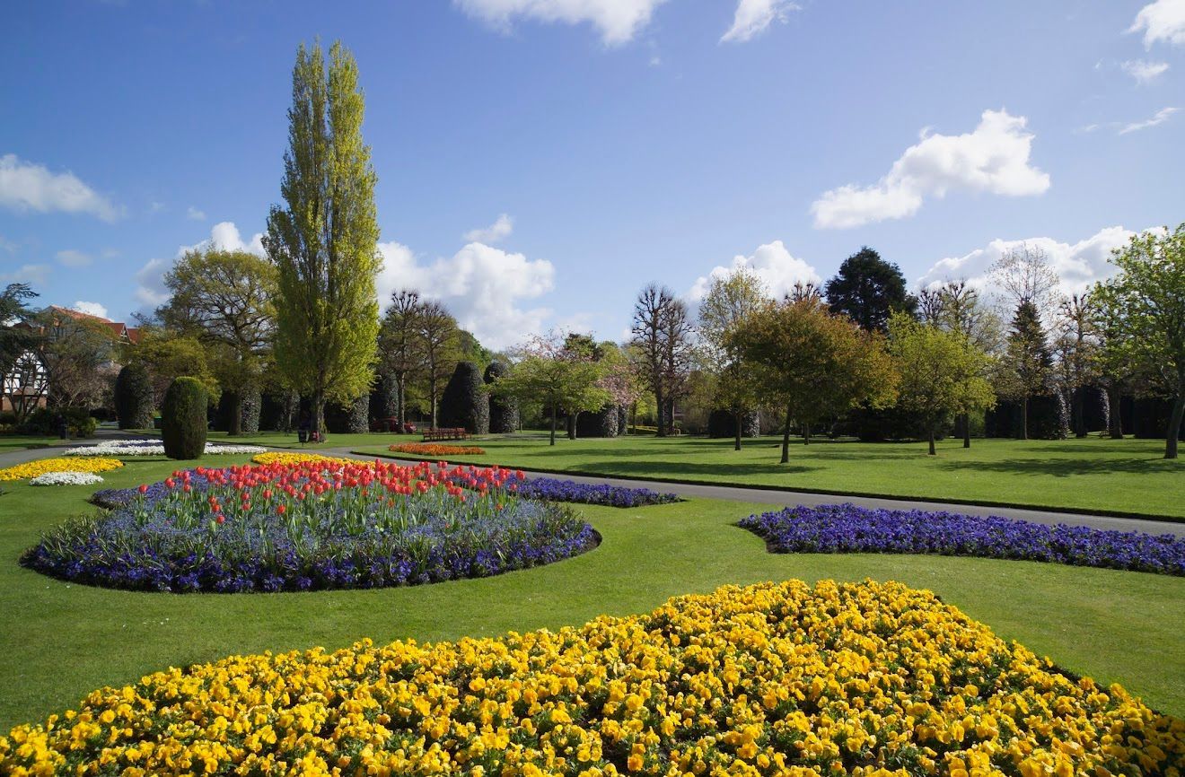 Aiuole colorate in un parco