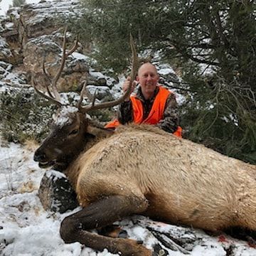 Big Game Hunts