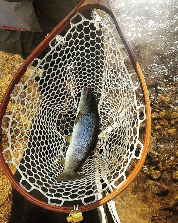 Streambank Fly Fishing