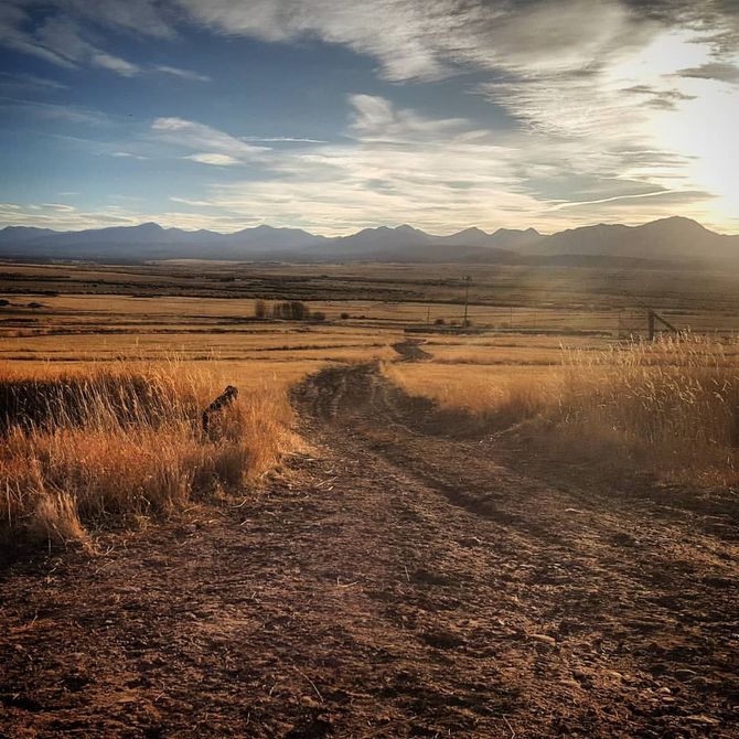 Montana Wilderness