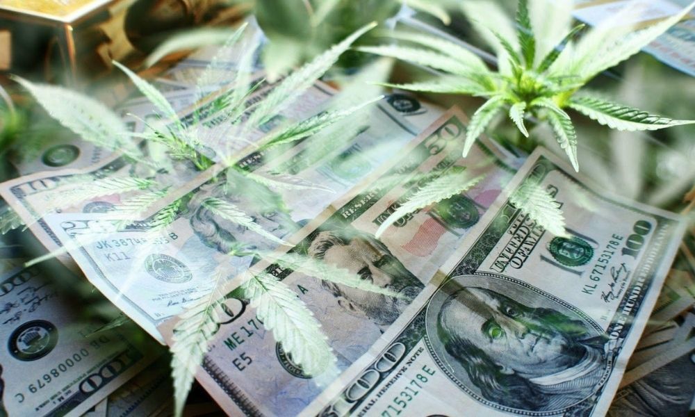 Cannabis and Money