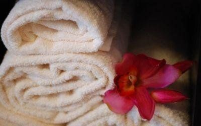 Asciugamani e orchidea