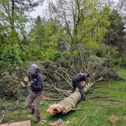 A person in camouflage gear uses a chainsaw to cut a log on a snow-covered ground near a pile of firewood.