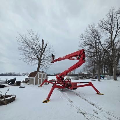 A large, mature tree uprooted and lying on its side across a residential grass verge and street after a storm.