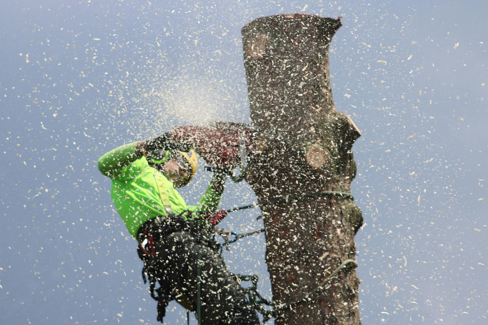 A tree worker in a neon green shirt uses a chainsaw to cut a trunk while suspended in the air, surrounded by wood chips.