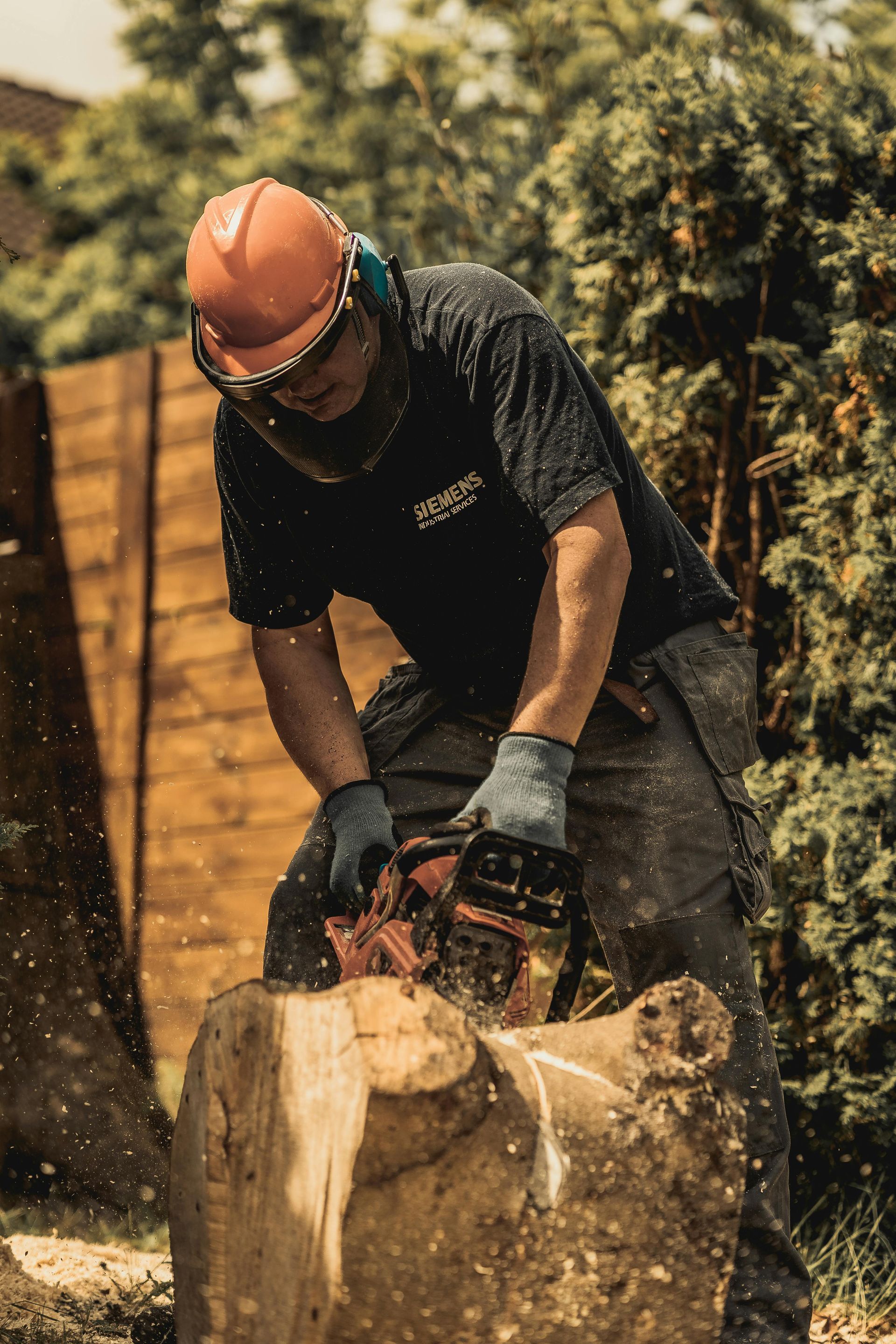 A person in a hard hat and safety gear uses a chainsaw to cut a thick log in a yard.