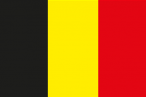 Expédition de palettes au Belgique