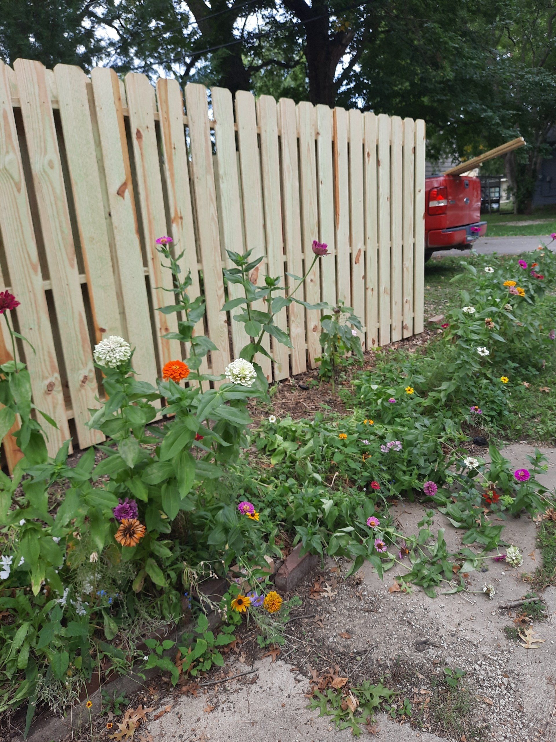 A wooden fence with flowers growing next to it.
