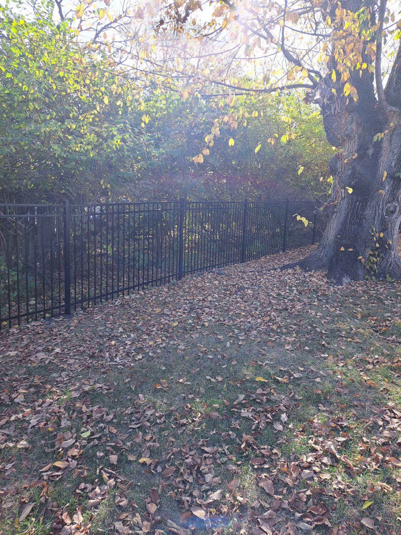 A fence is surrounded by trees and leaves in a park.