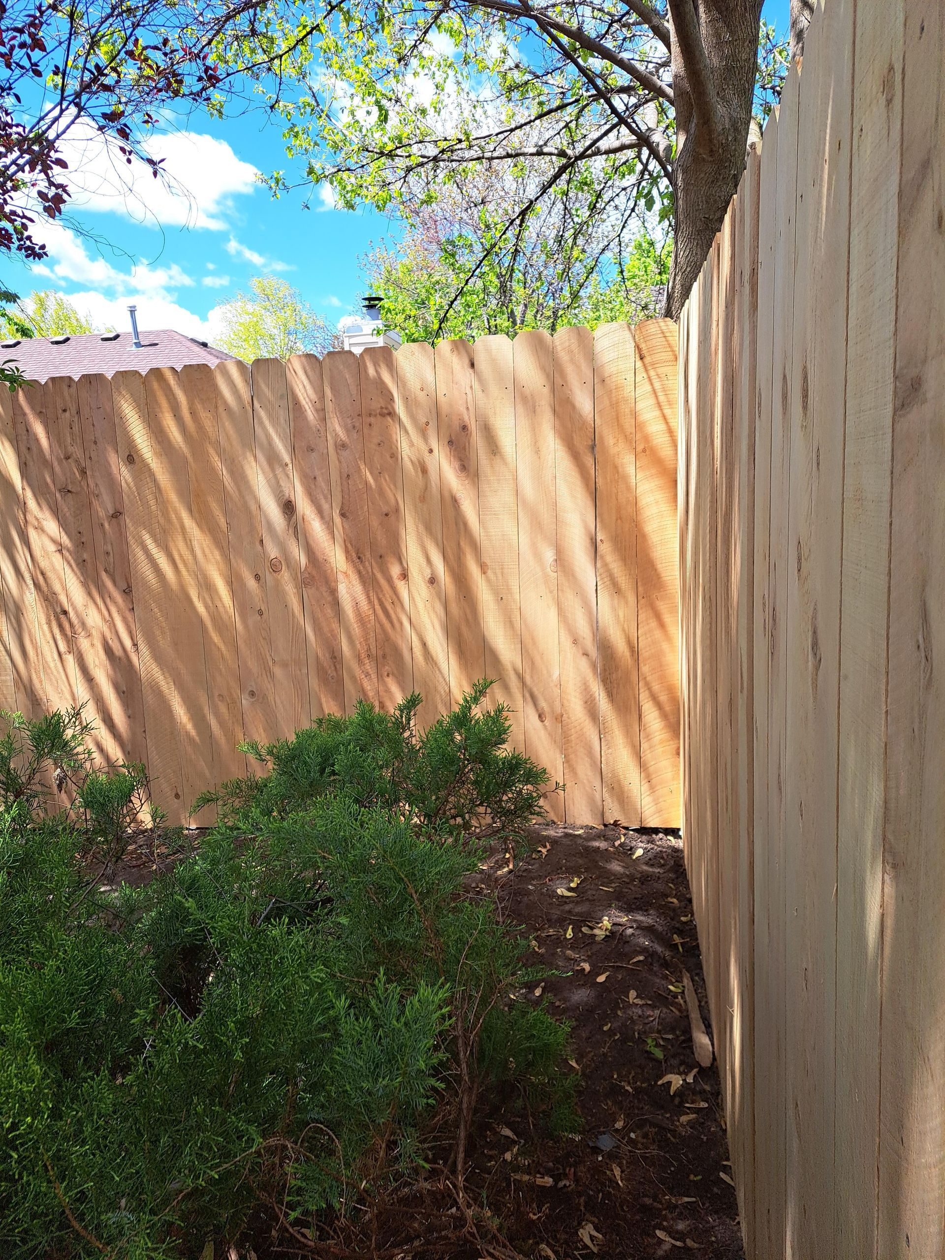 A wooden fence is surrounded by trees and bushes in a backyard.