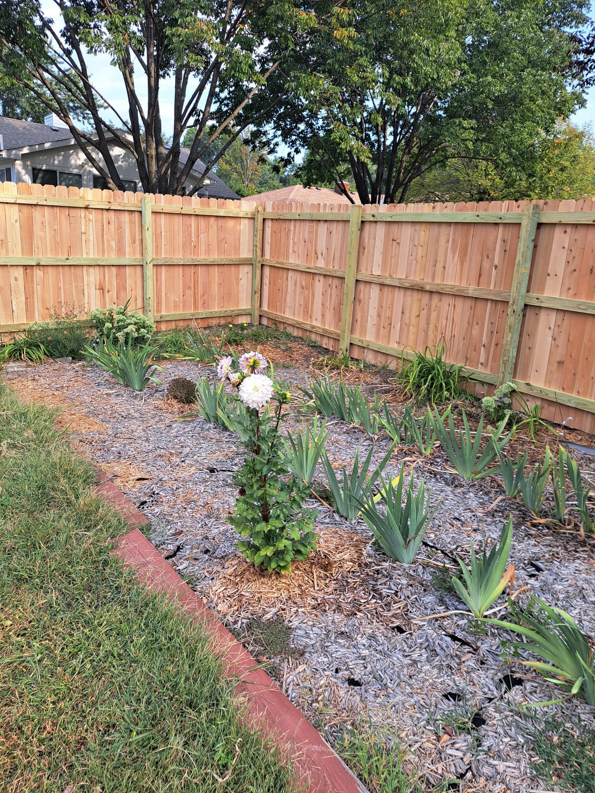 A wooden fence surrounds a garden filled with flowers and plants.