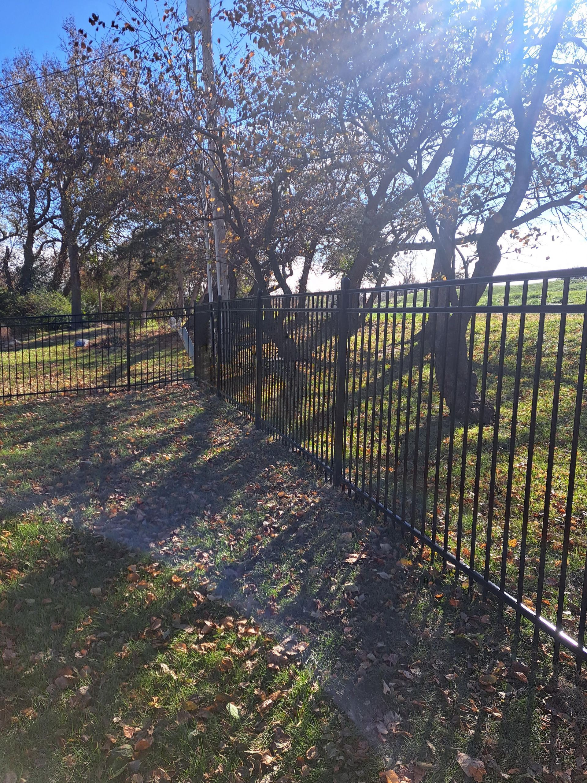 A metal fence surrounds a grassy field with trees in the background.