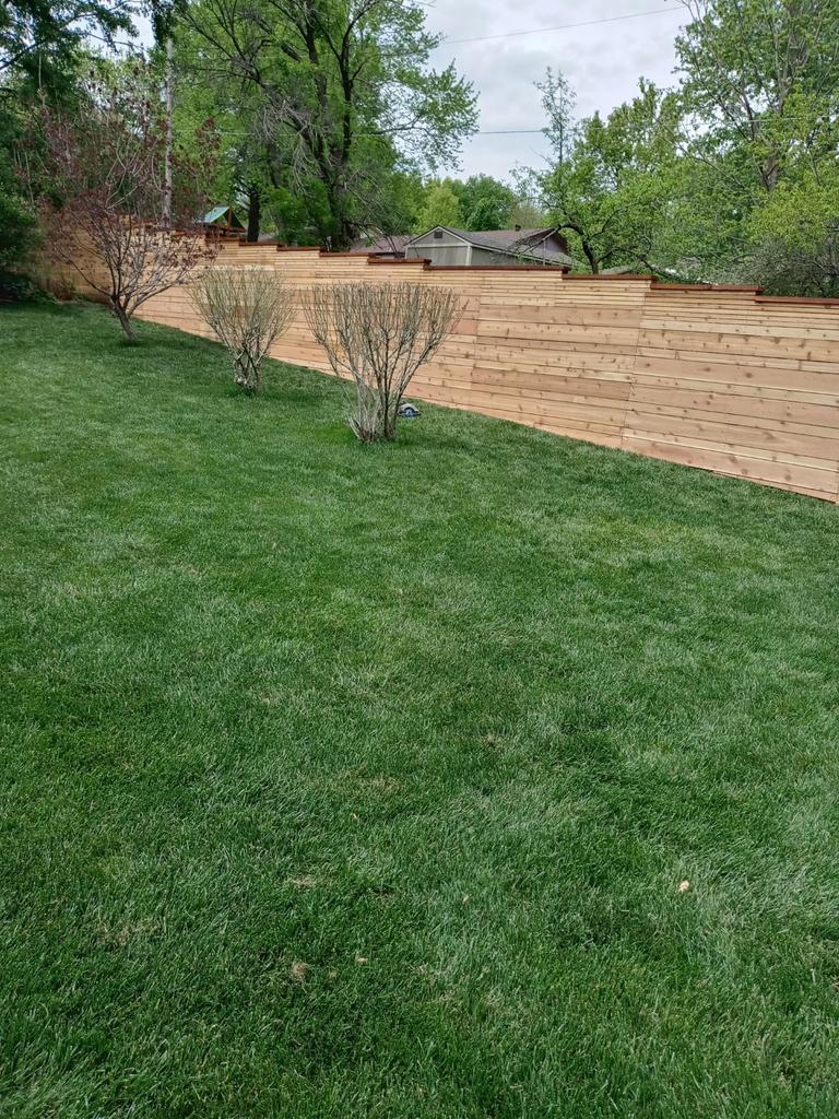A lush green lawn with a brick wall in the background.