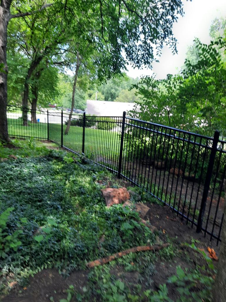 A black metal fence surrounds a lush green yard.