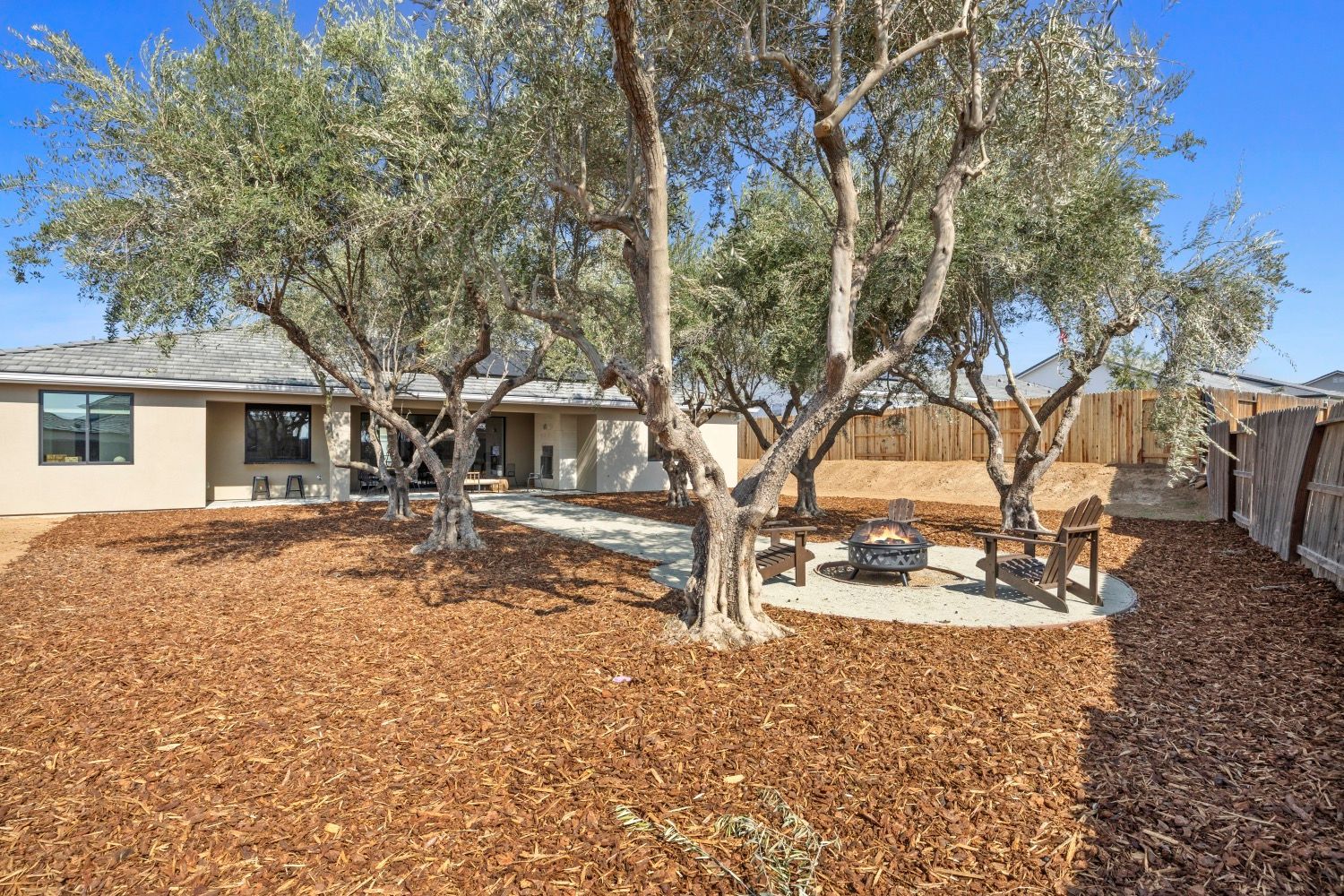 Backyard with olive trees, patio, fire pit, and wood chip ground cover.