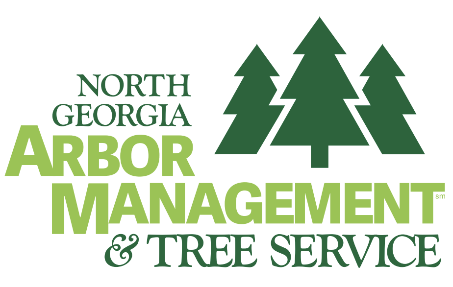 Superior Tree Service Cumming GA | Expert Tree Removal Cumming GA