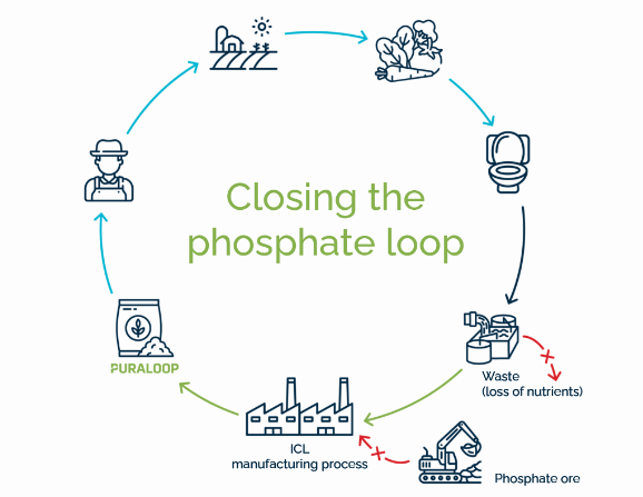 Circular Chemistry Loop