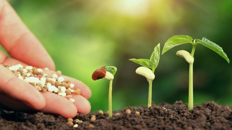 Fertilizer cover