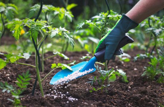 Fertilizers termal