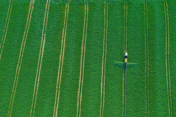 Fertilizers Green Cover