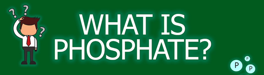 What Is Phosphate