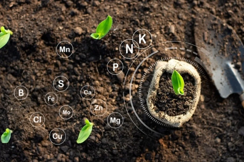 Nanotechnology Fertilizer Front