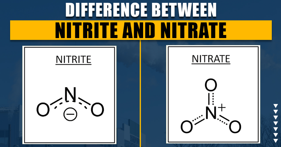 Nitrite-Nitrate