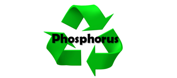 Phosphorus cover