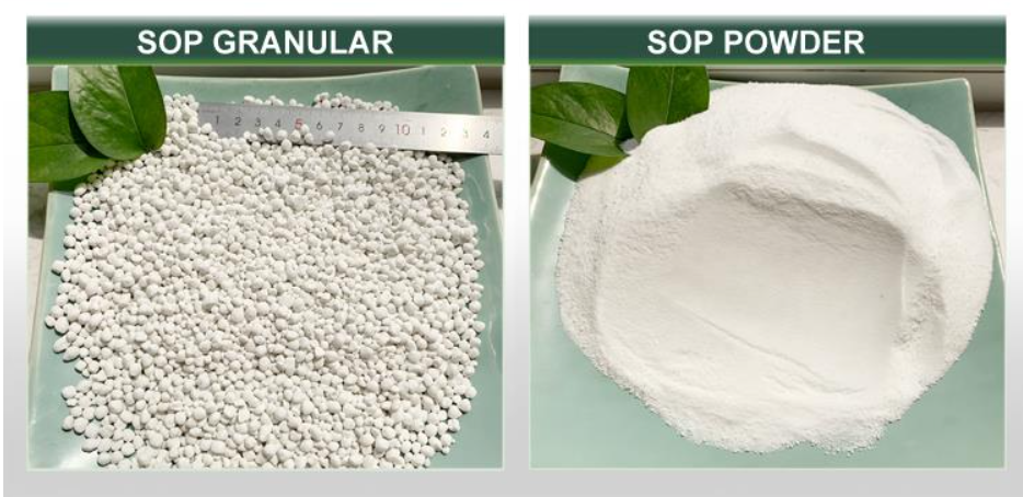 Potassium Sulphate Granular Powder