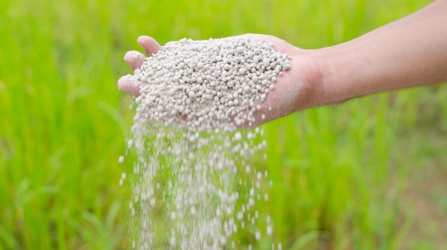 Potassium Sulphate cover