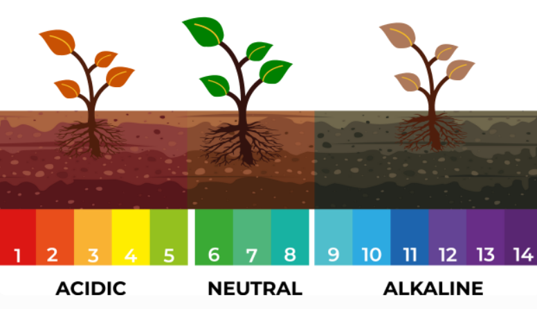 Acidic Neutral Alkaline