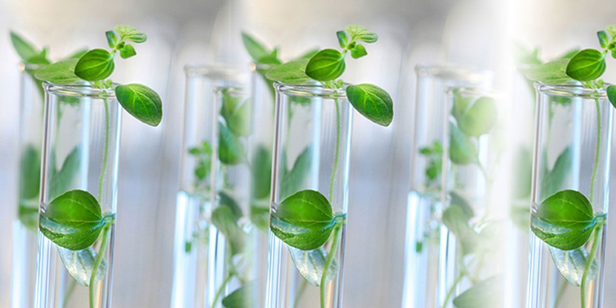 Greener chemistry