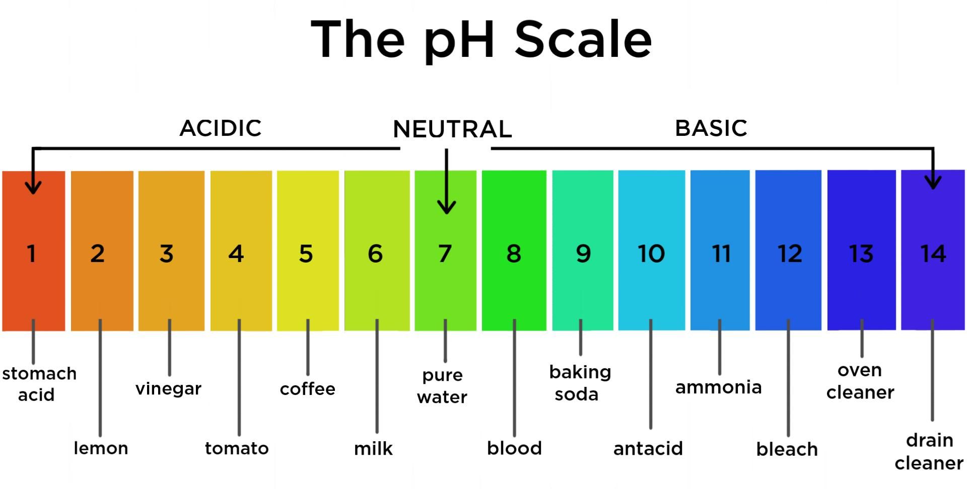 PH Scale Front