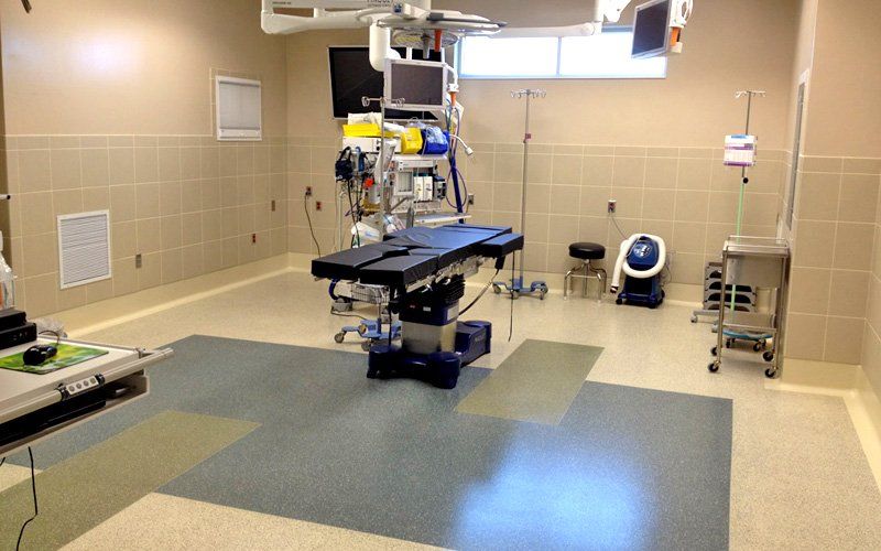 Dindica S.A. de C.V. -