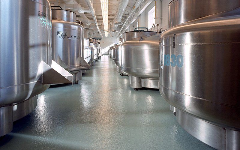 Dindica S.A. de C.V. -