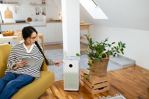 A Woman Is Sitting On A Couch Using A Tablet - Maricopa, AZ - Eco Mechanical LLC A Woman Is Sitting On A Couch Using A Tablet - Maricopa, AZ - Eco Mechanical LLC