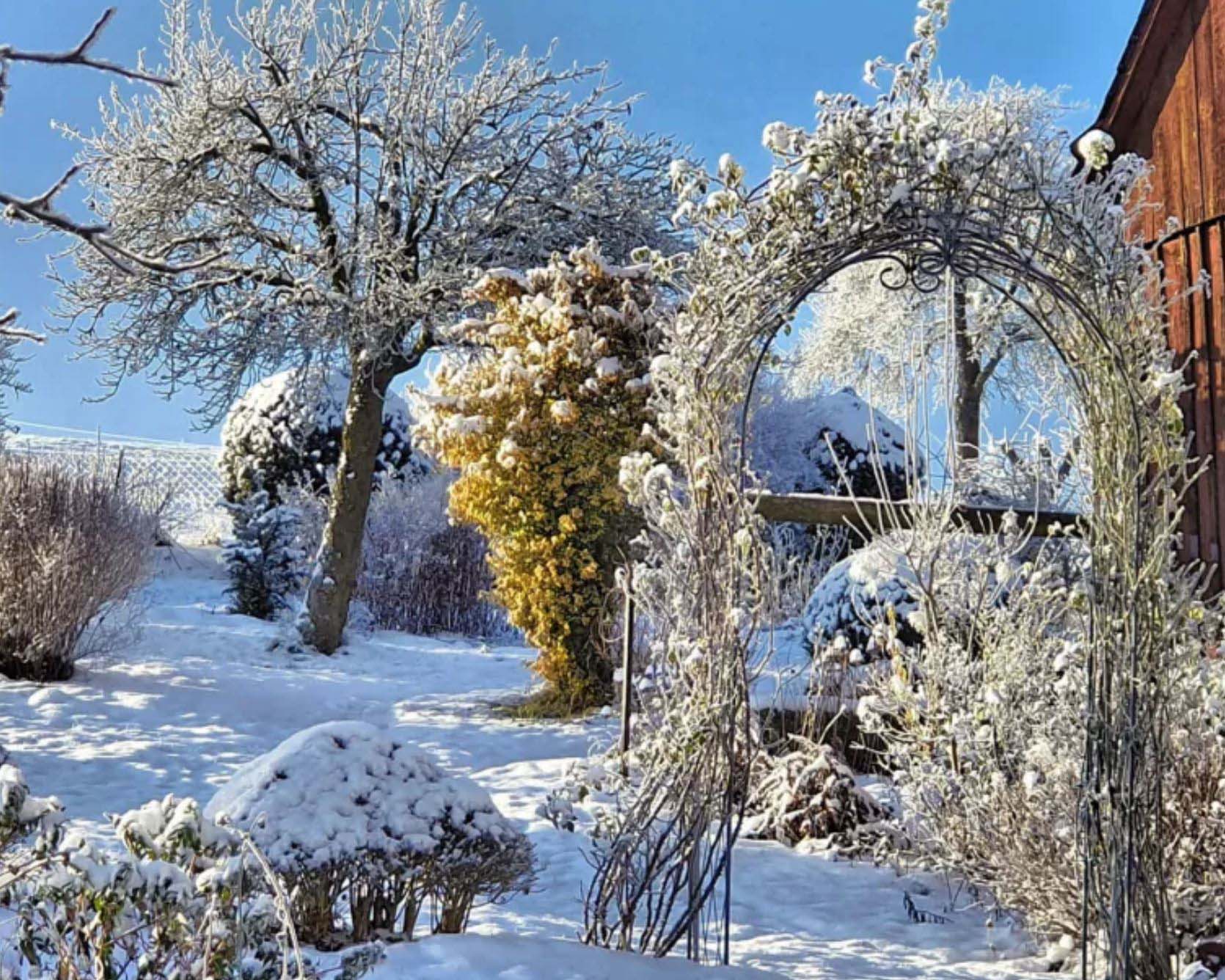 Ratgeber über die Gartengestaltung im Winter