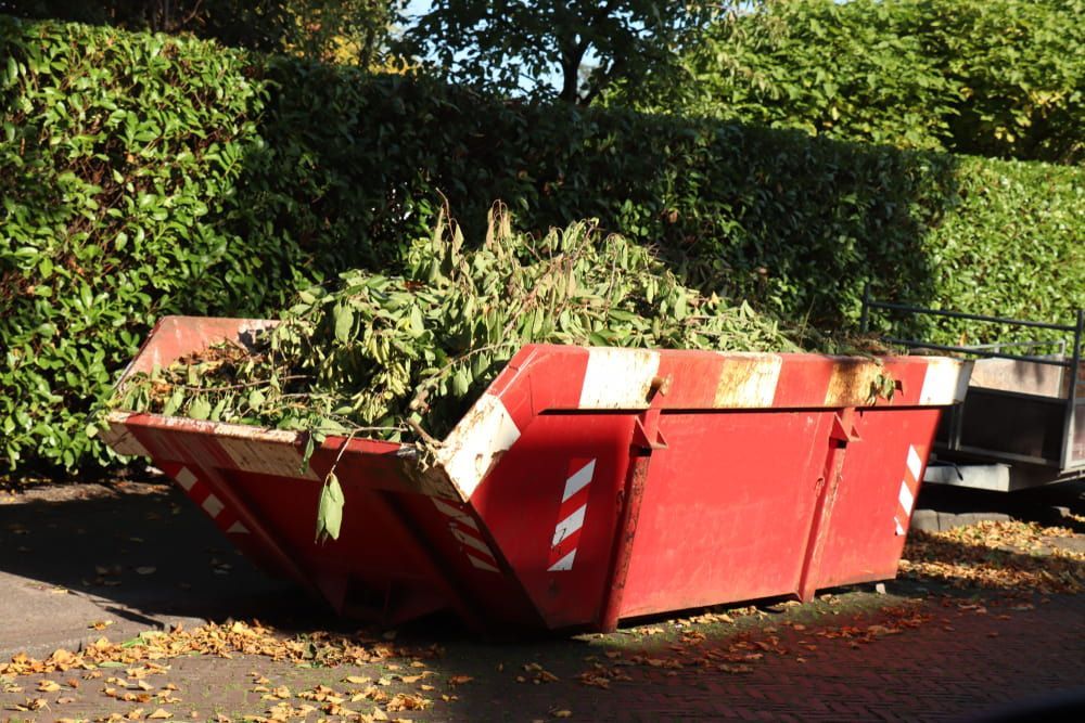A Red Dumpster Filled With Leaves is Sitting on the Side of the Road — Bins on Rims in South West Rocks, NSW
