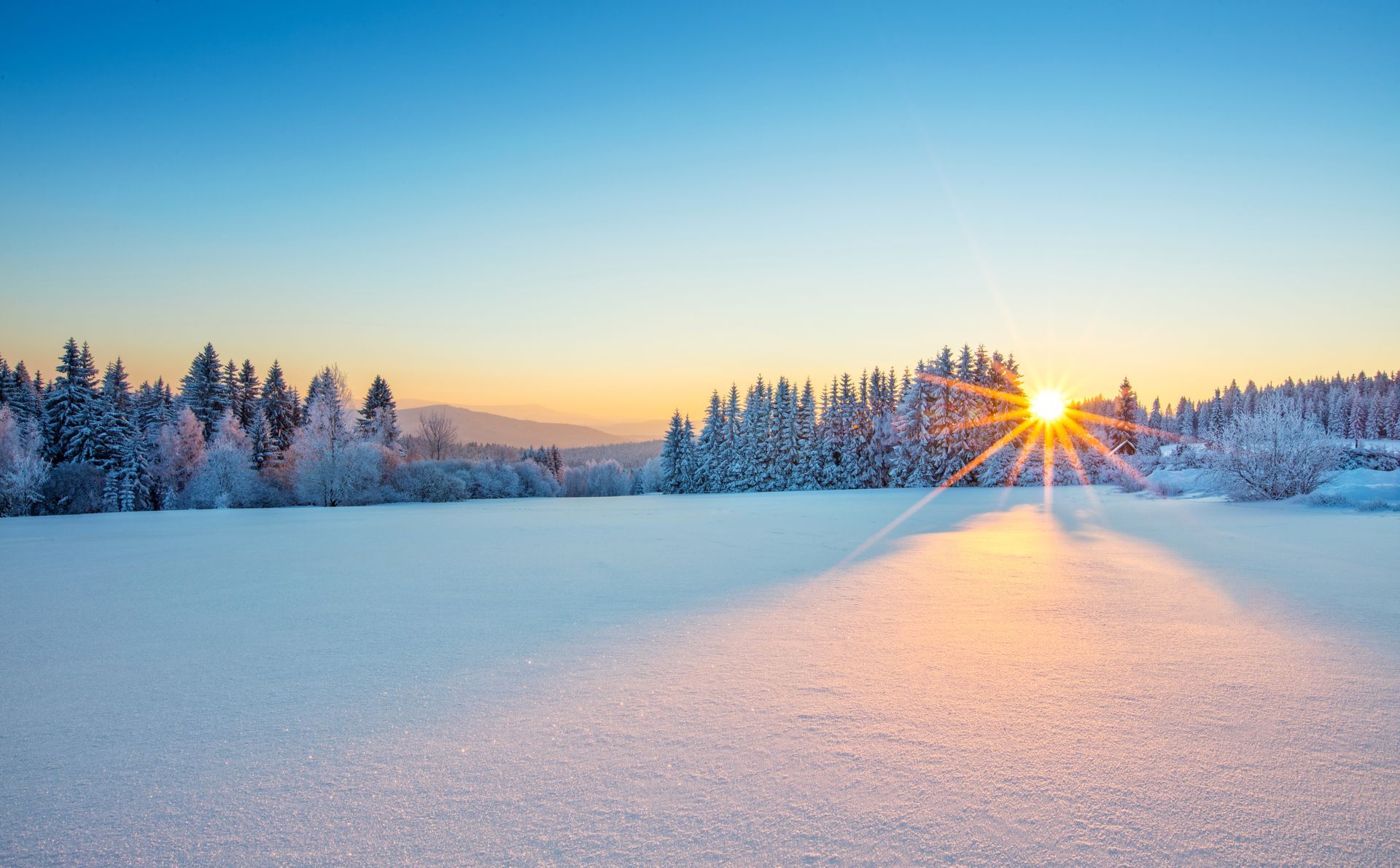 The sun is setting over a snowy field with trees in the background.