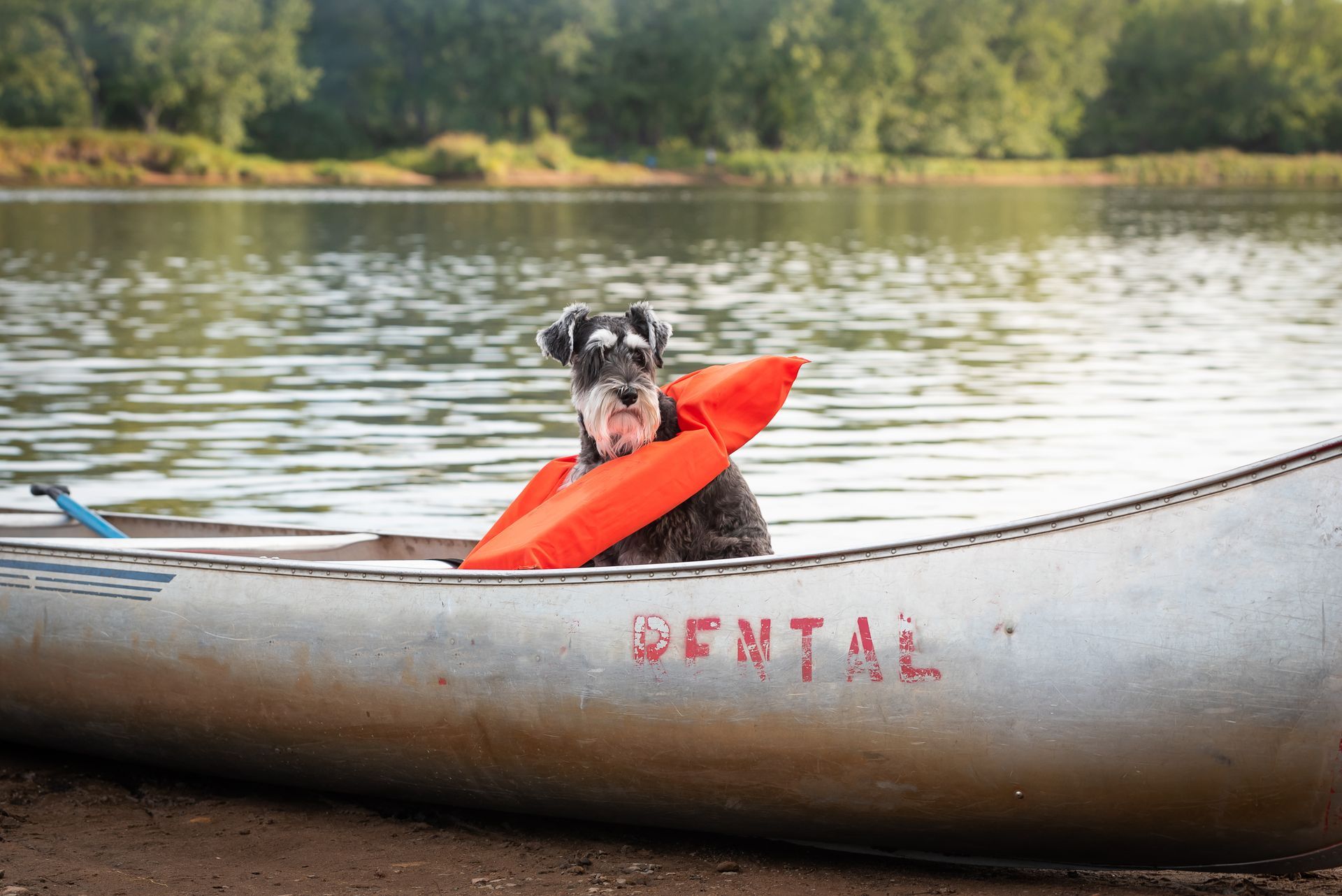 A dog wearing a life jacket is sitting in a canoe.