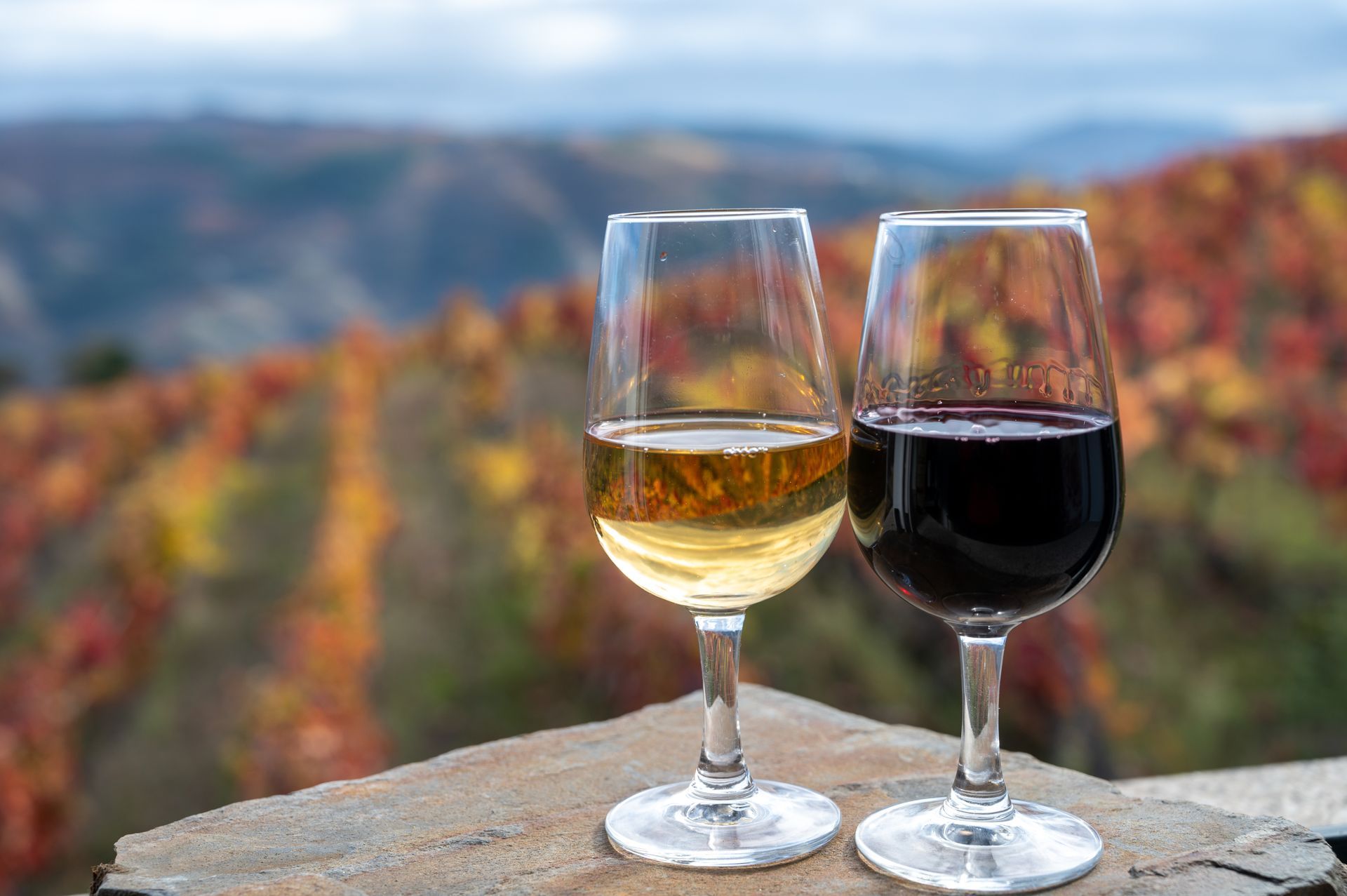 Two glasses of wine are sitting on a rock in front of a vineyard.