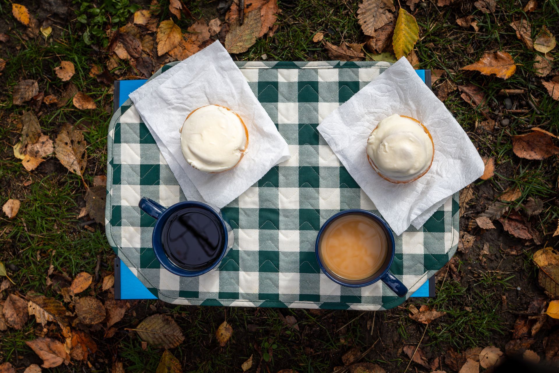 Two frosted cupcakes and coffee on a checkered blanket, set outdoors amongst autumn leaves.