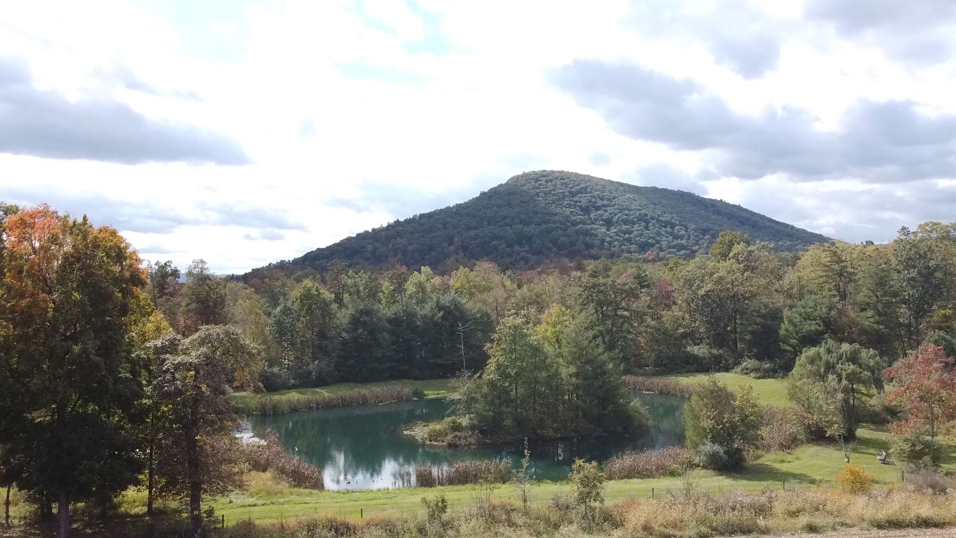 A lake in the middle of a forest with a mountain in the background