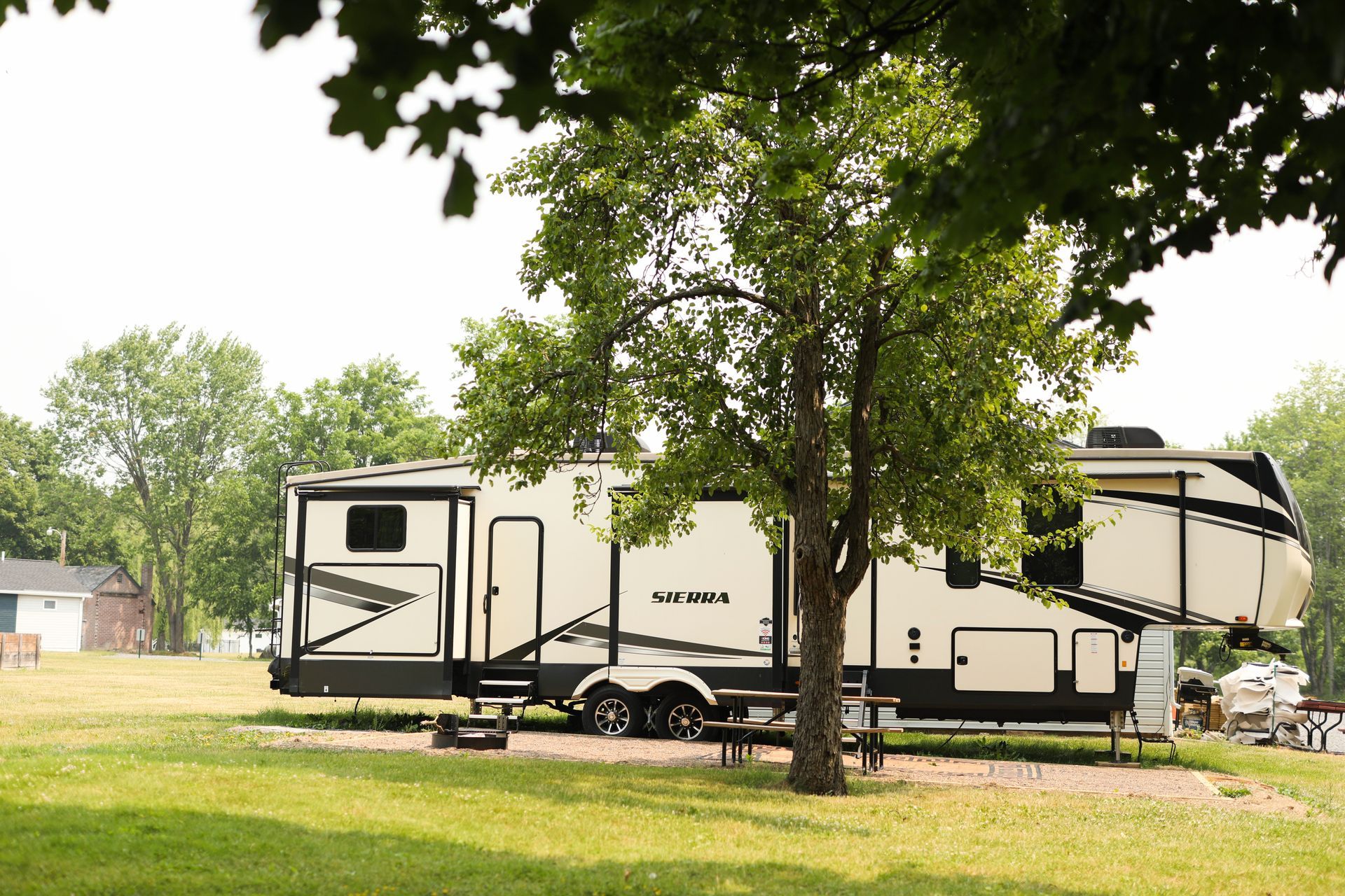 A rv is parked under a tree in a grassy field.