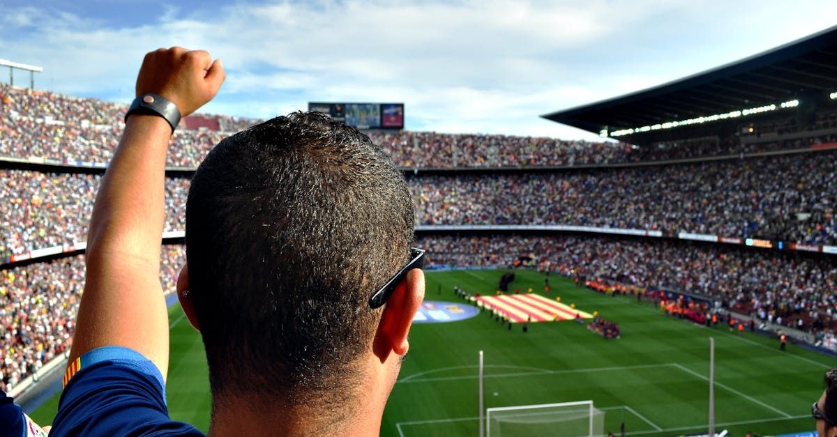 football fan at a football stadium